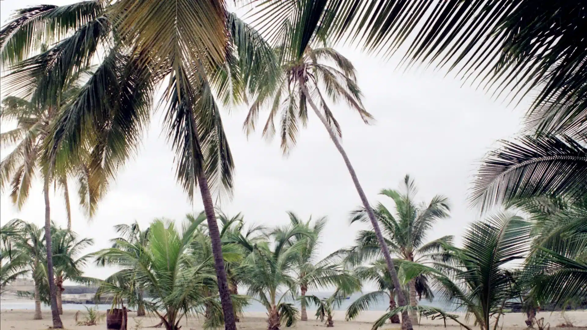 Les prix pour les touristes ont augmenté de 5,9 % au Cap-Vert au 4e trimestre de 2025.