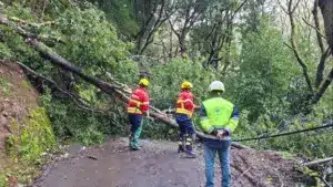 Les sentiers pédestres de Madère rouvrent dimanche après le mauvais temps.