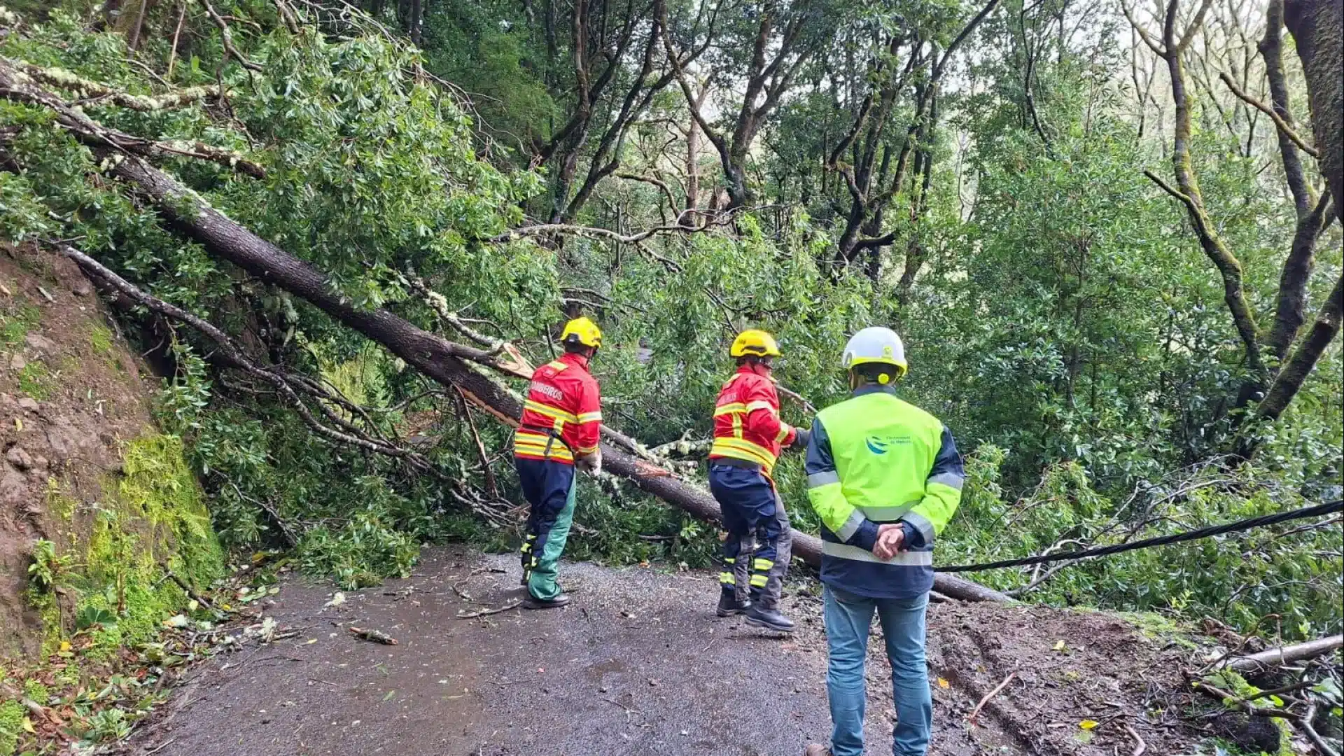 Les sentiers pédestres de Madère rouvrent dimanche après le mauvais temps.