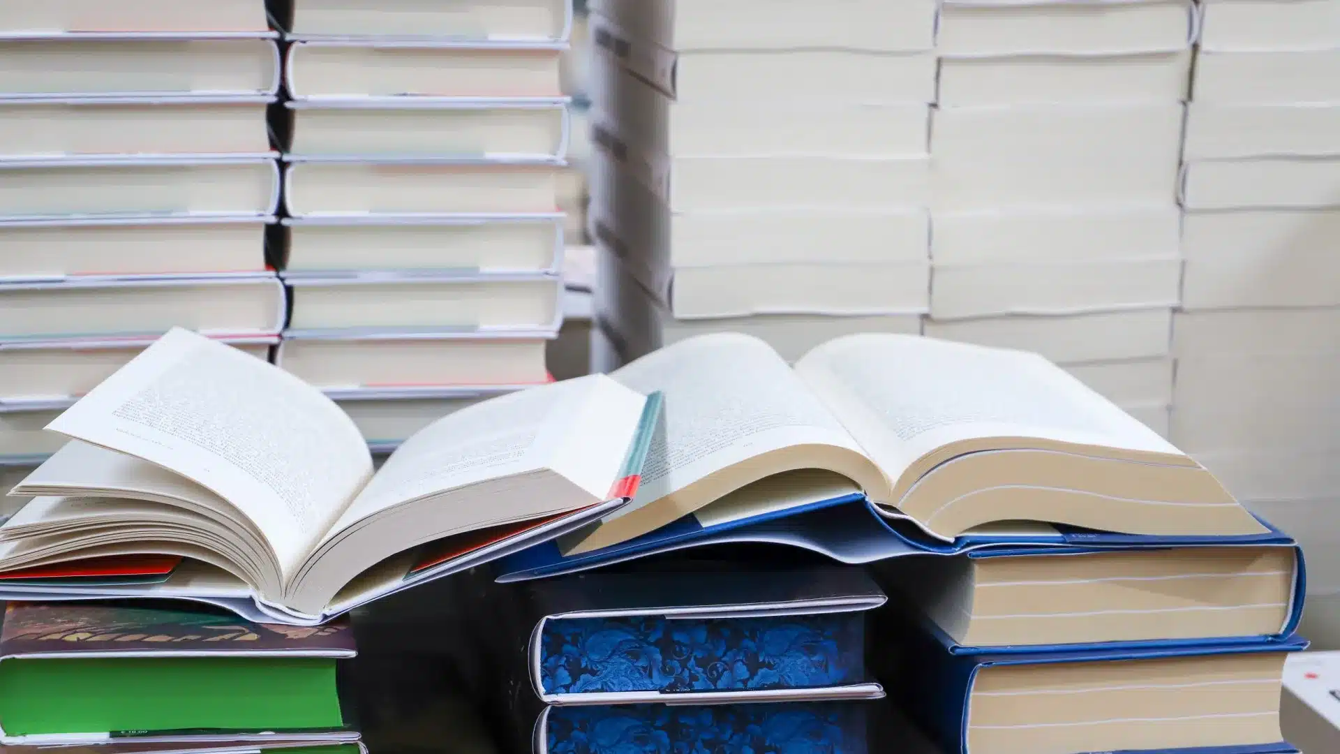 L'Espagne est le pays invité de la Biennale Internationale du Livre de São Paulo.