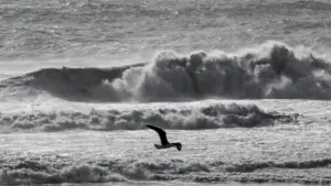 L'IPMA place la côte du Portugal continental en alerte rouge en raison de la houle.