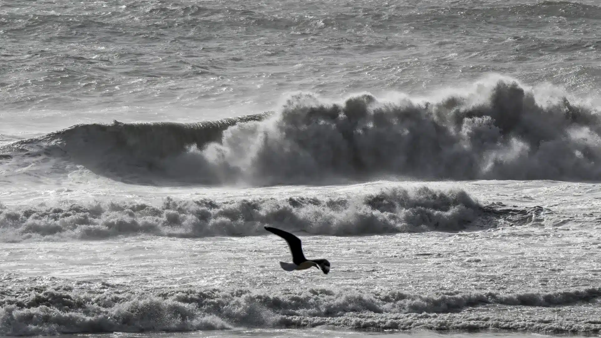 L'IPMA place la côte du Portugal continental en alerte rouge en raison de la houle.