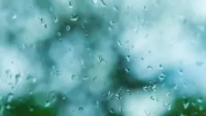 Mauvais temps à Coimbra. EN110 fermée à la circulation au Miradouro do Sr. Justo.