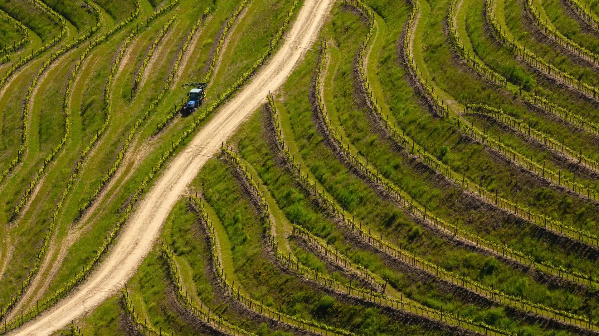 Mauvais Temps : Au moins 500 producteurs "très affectés" dans la vallée du Lis