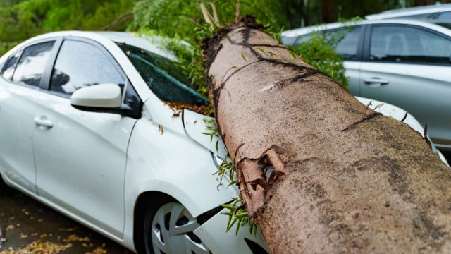 Inondations, chute d'arbres... L'assurance auto couvre-t-elle les dommages ? Qui paie ?