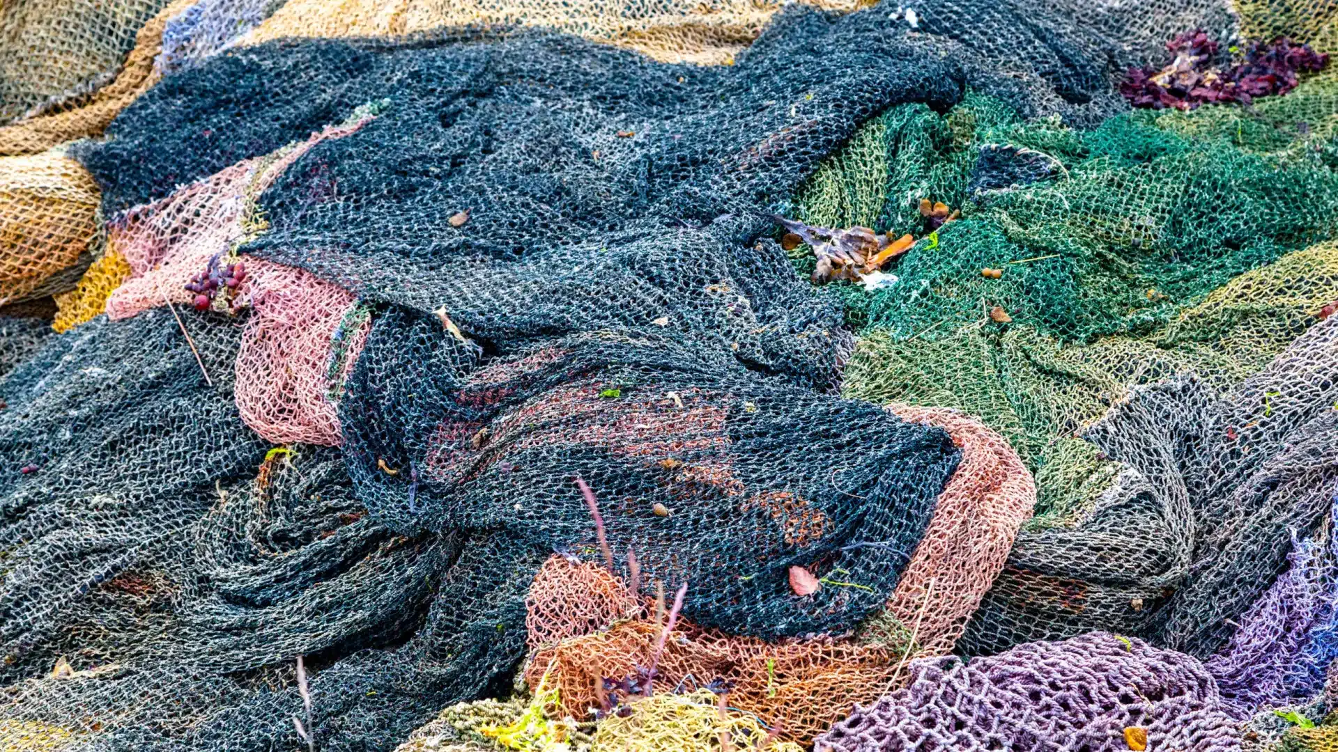 Mauvais temps ? La Fédération des Pêches des Açores demande un soutien pour les pêcheurs.