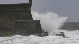Mauvais temps : La Protection Civile a enregistré près de 350 incidents jusqu'à 23h00.