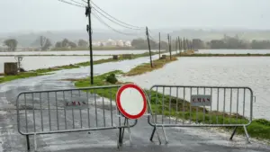 Mauvais temps : Le gouvernement va ouvrir un soutien aux agriculteurs avec des taux allant jusqu'à 100 %.