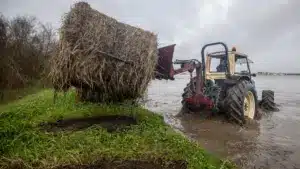 Ministère de l'Agriculture lance une plateforme pour signaler les pertes