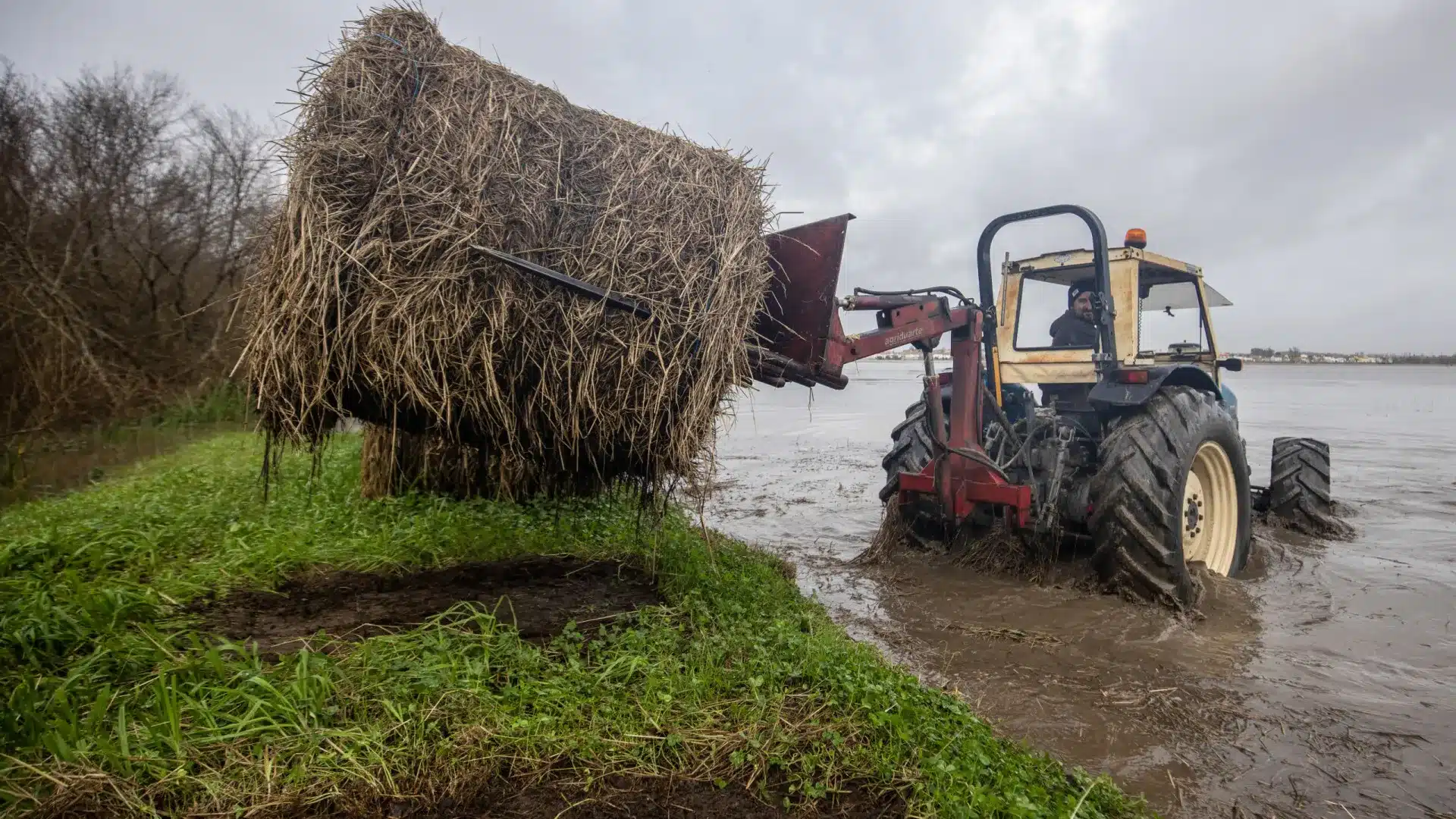 Ministère de l'Agriculture lance une plateforme pour signaler les pertes