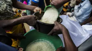 Mozambique. L'ICM commence à diriger les importations de céréales.