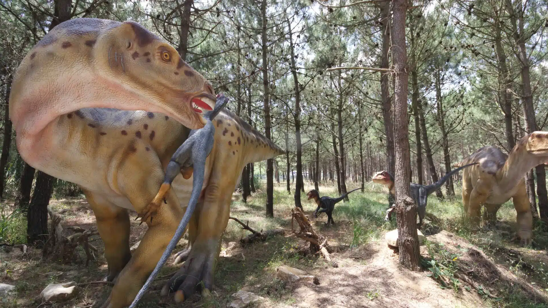 Nouvelle espèce d'amphibien du Jurassique identifiée dans des fossiles au Portugal.