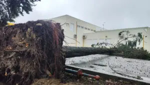 Oliveira do Hospital a enregistré 50 occurrences et des dégâts dans toute la commune.