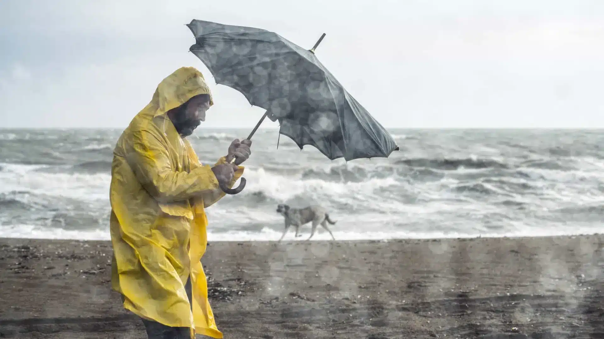 Plus de 370 occurrences au Portugal continental jusqu'à 15h.