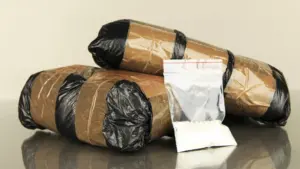 Plus de deux mille doses de cocaïne saisies à Peniche