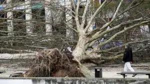 Plusieurs districts avec des avertissements en raison de la pluie, du vent, de la neige et de l'agitation maritime.