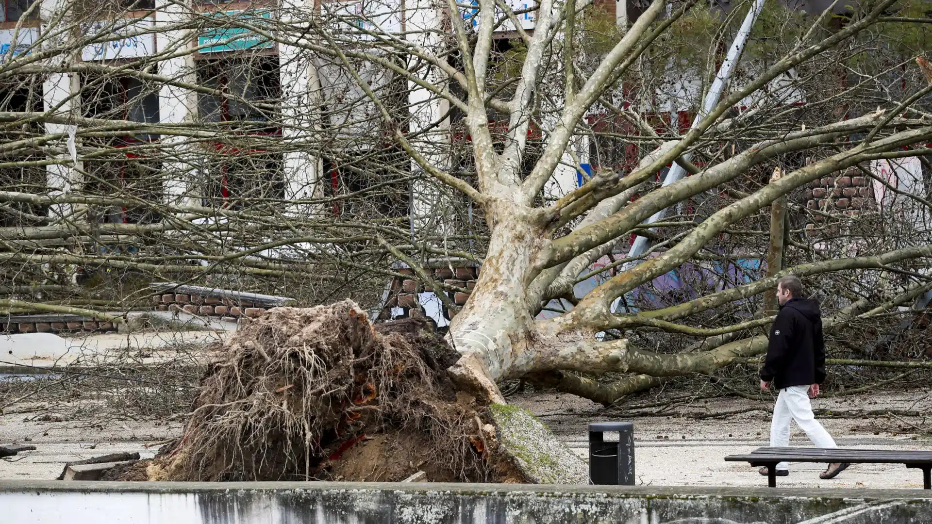 Plusieurs districts avec des avertissements en raison de la pluie, du vent, de la neige et de l'agitation maritime.