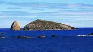 Poissons trouvés morts dans des piscines naturelles sur l'île de Graciosa