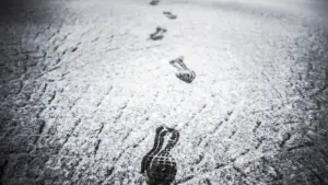 Prévision de neige ferme l'école d'Izeda et annule les transports à Bragança.