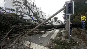 Protection civile avec plus de 200 occurrences jusqu'à 05h00.