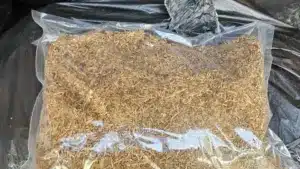 Saisie d'une tonne de tabac à Loulé aboutit à deux accusés.