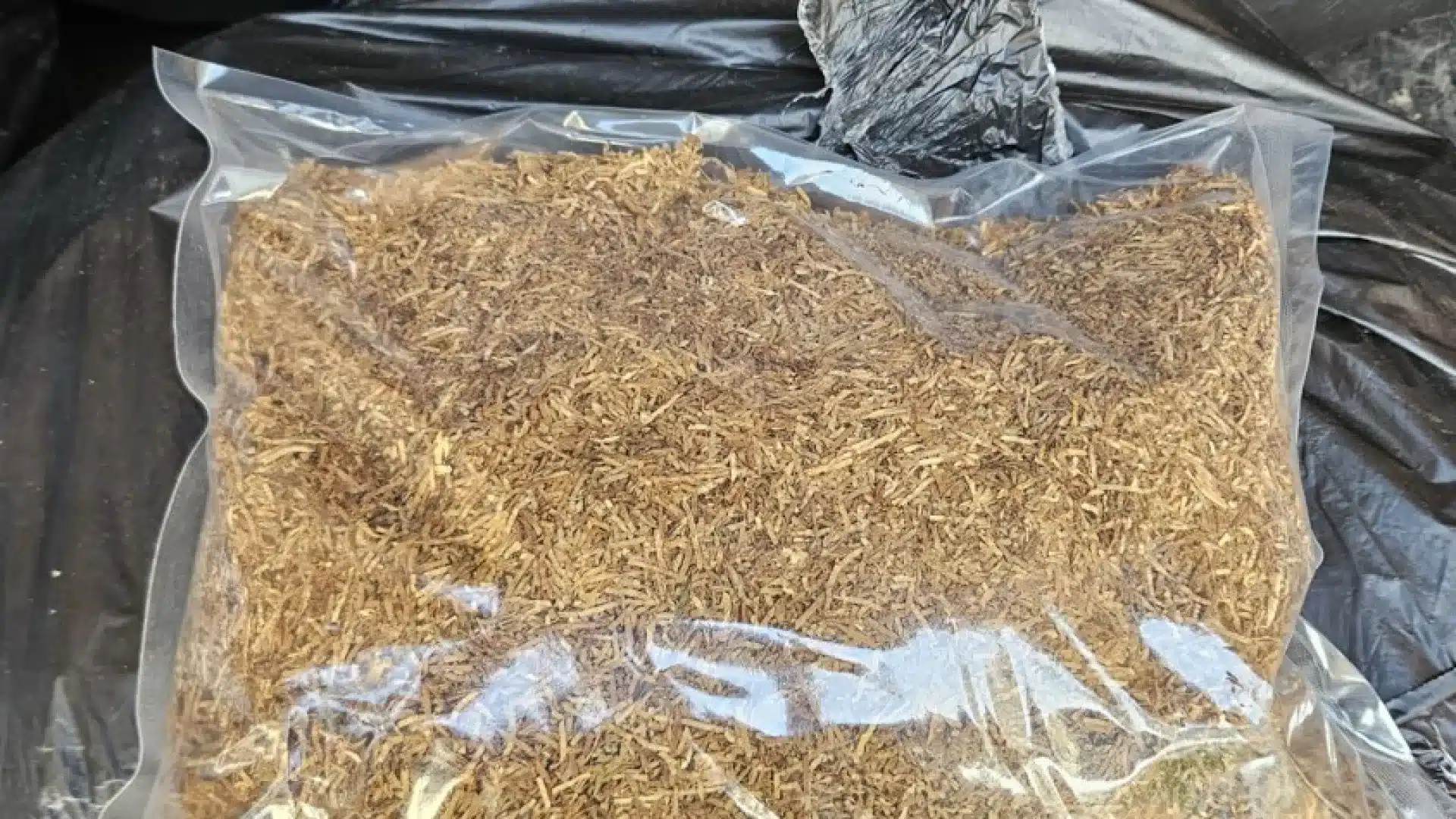 Saisie d'une tonne de tabac à Loulé aboutit à deux accusés.