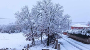 Sous la neige ? Il y a une alerte rouge pour cinq districts du Nord et du Centre.