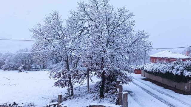 Sous la neige ? Il y a une alerte rouge pour cinq districts du Nord et du Centre.
