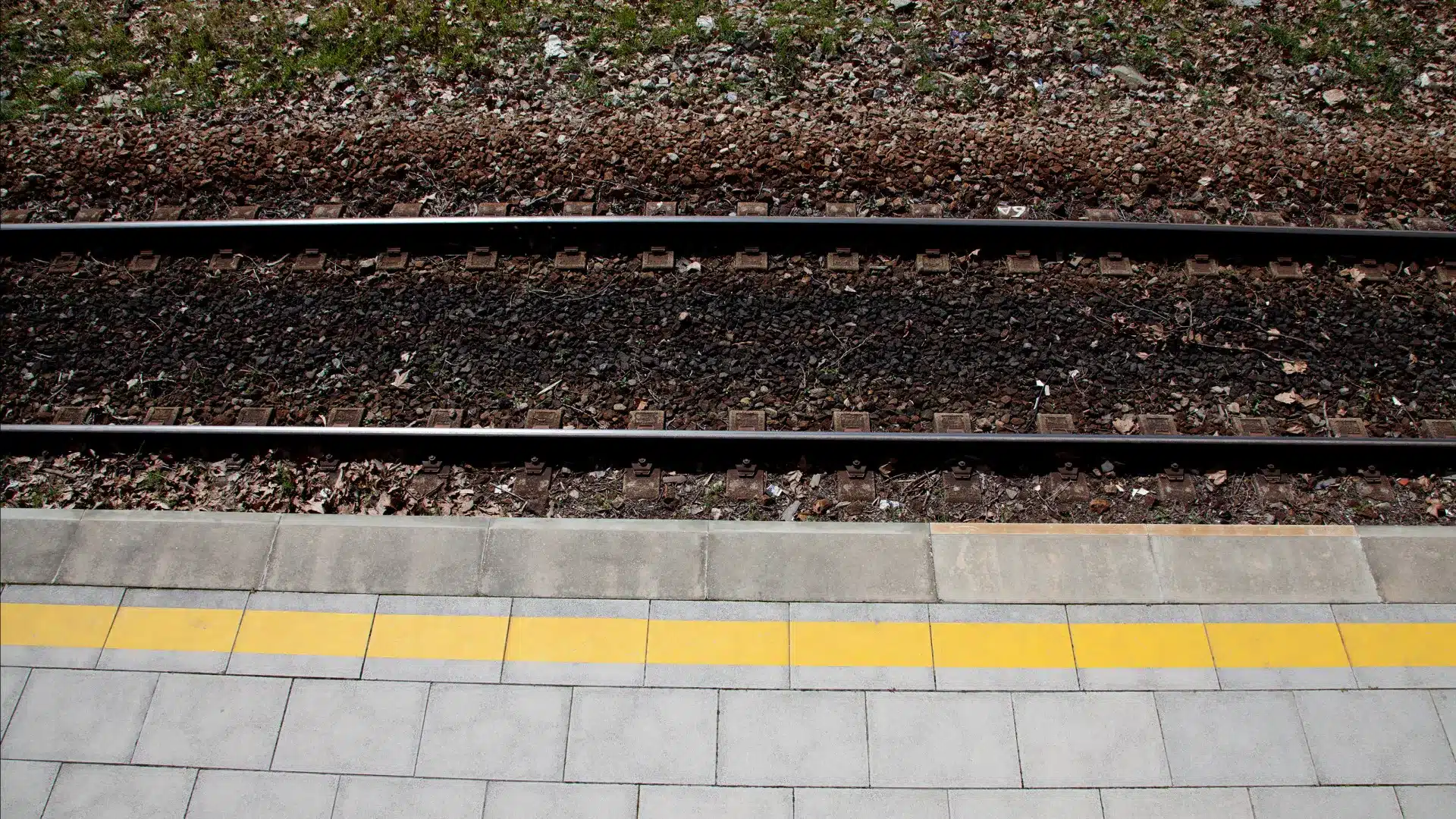 Trains suspendus en Beira Baixa, Ouest et Alverca à cause du mauvais temps