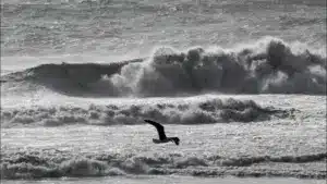 Trois districts sont en alerte rouge en raison de la houle vendredi.