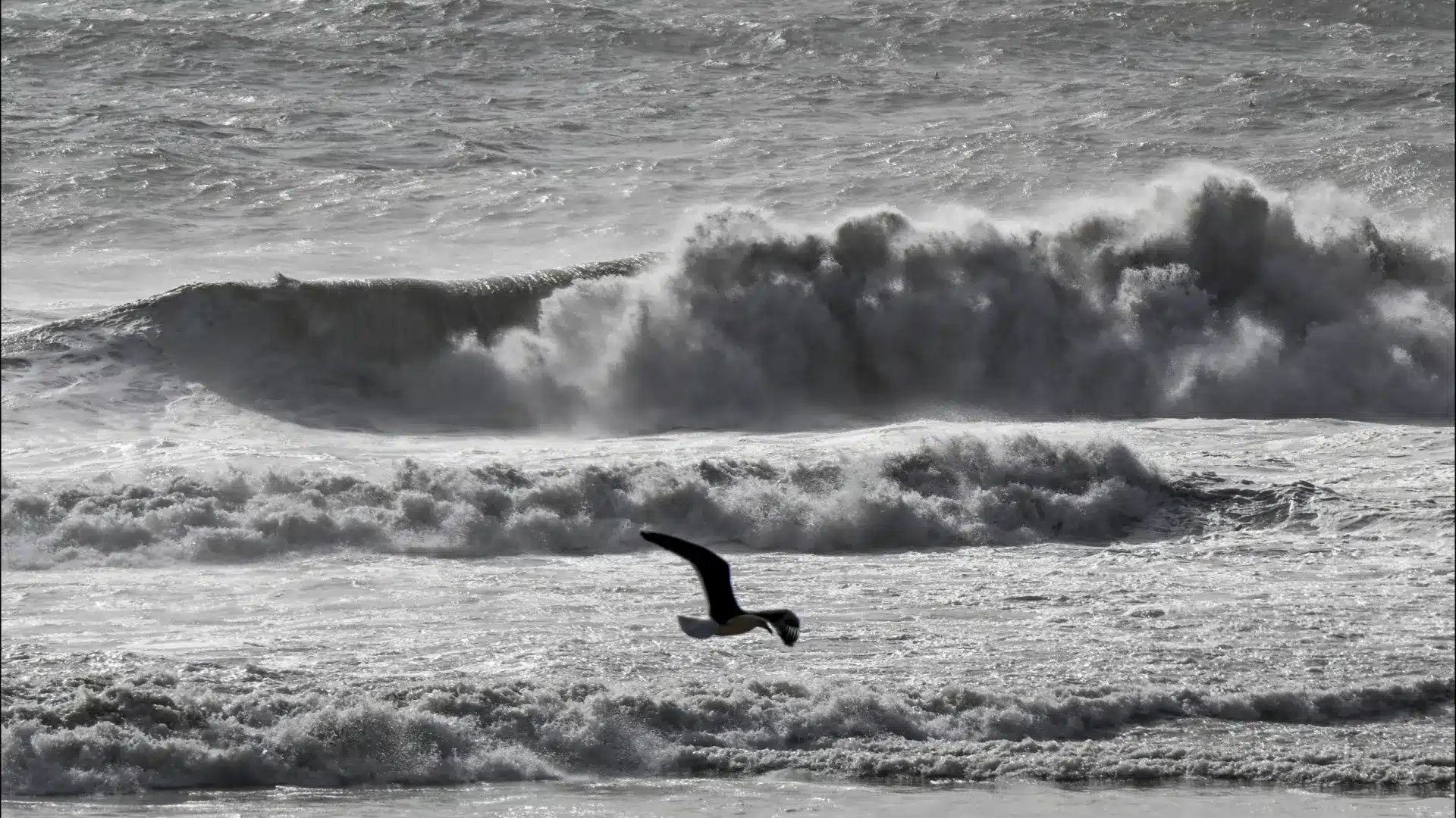 Trois districts sont en alerte rouge en raison de la houle vendredi.