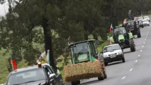 UE/Mercosur : Les agriculteurs au ralenti contre la "concurrence déloyale"