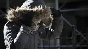 ULS Médio Tejo renforce l'accueil face à l'épidémie de grippe : "Pression"