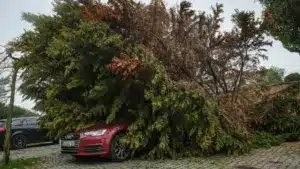 Un évacué et plus de 150 incidents dans le district de Portalegre