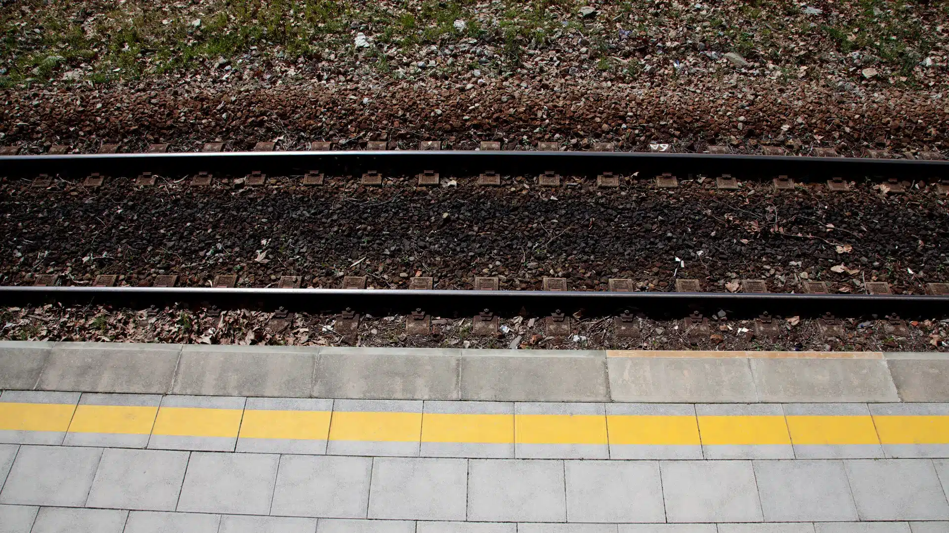 Une femme meurt après avoir été percutée par un train sur la ligne du Douro.