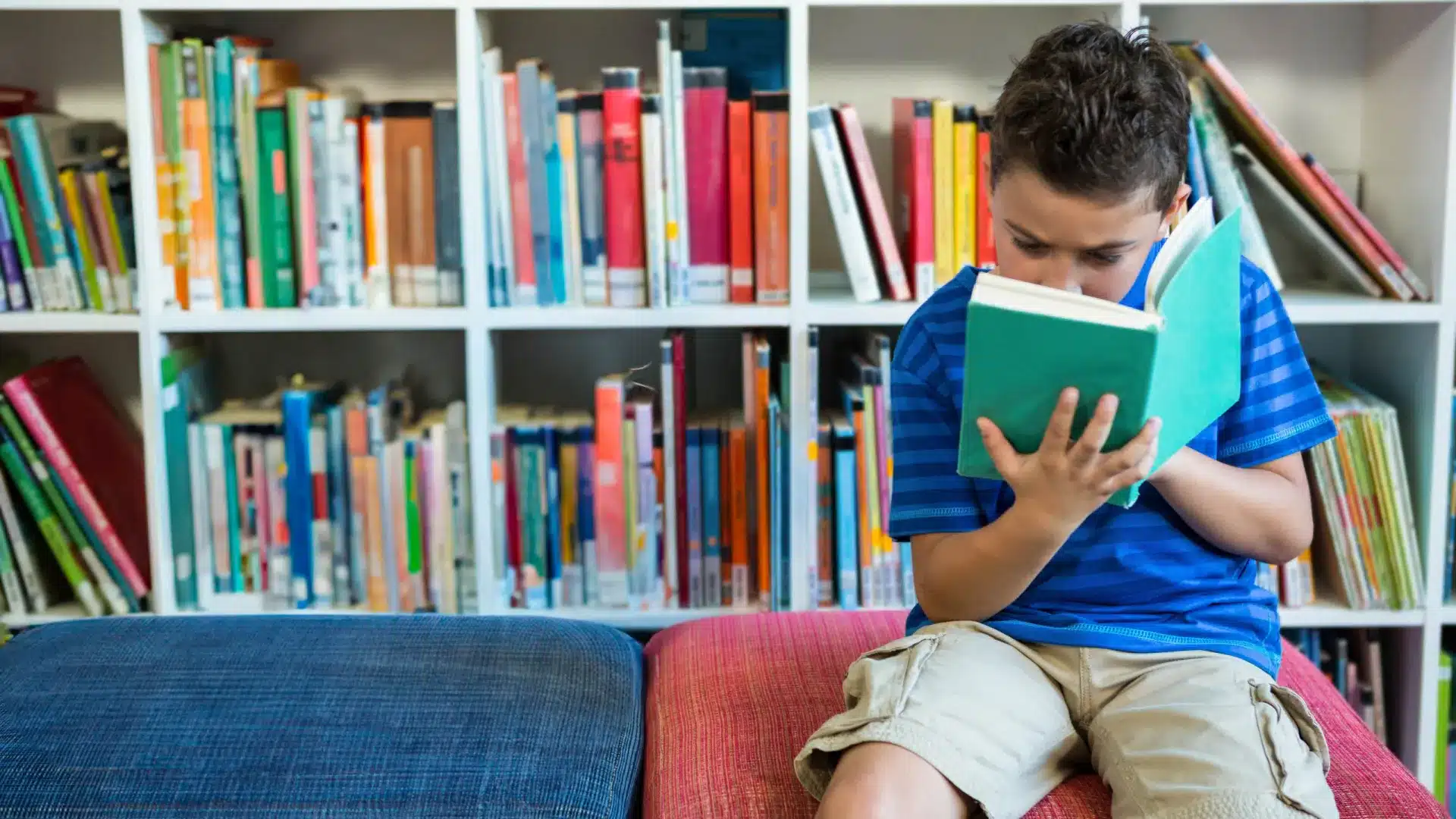 10 livres pour expliquer la démocratie aux enfants (de manière amusante)