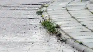 À Bajouca, en l'absence de l'État, la communauté a répondu (et avec force).