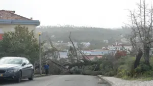 À Ourém, on coupe les arbres tombés et on répare les toits avec des bâches.