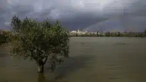 Agriculture : Lisbonne et Vallée du Tage avec 107,9 millions de pertes.