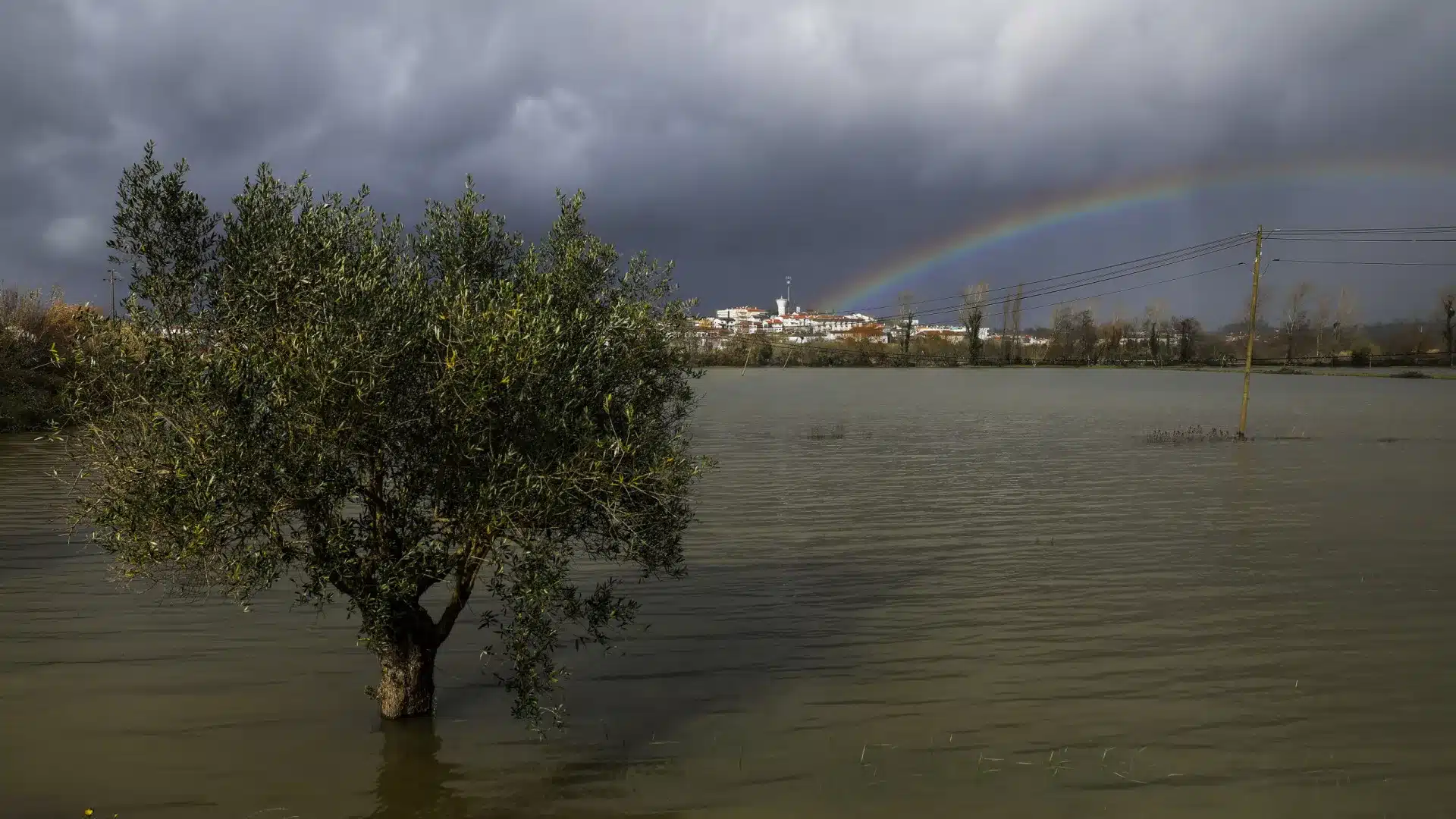 Agriculture : Lisbonne et Vallée du Tage avec 107,9 millions de pertes.