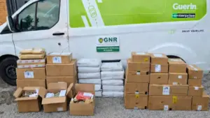 Almada. Arrêté après avoir volé plus de 100 colis (il a utilisé une brouette)