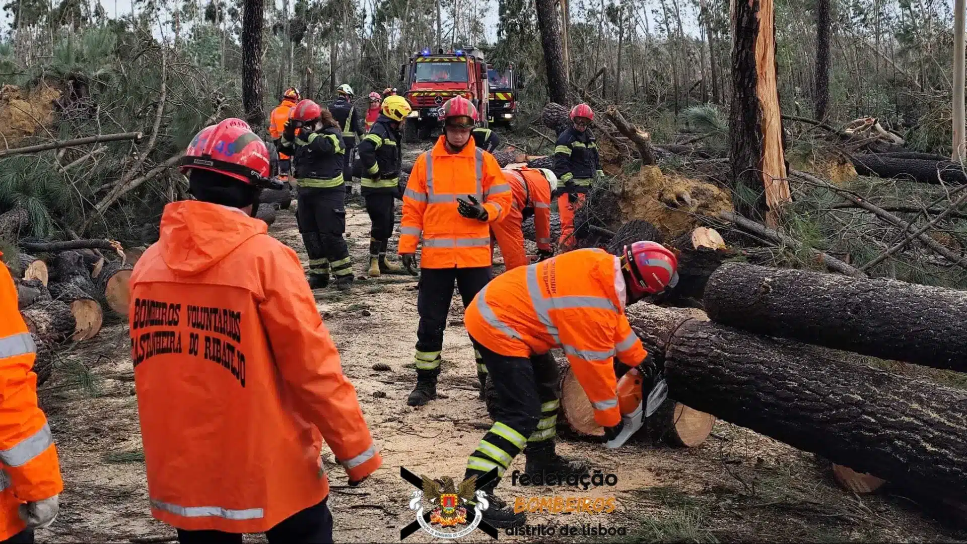 Alvaiázere annule le Carnaval sur la Place et d'autres activités