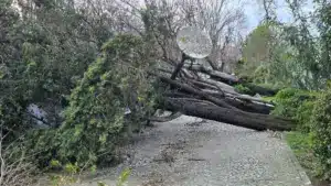 Alvaiázere avec un "problème significatif de communications". "Plus de soutien"