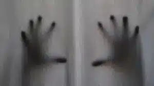 APAV a soutenu plus de 18 500 victimes en 2025, principalement pour violence domestique.