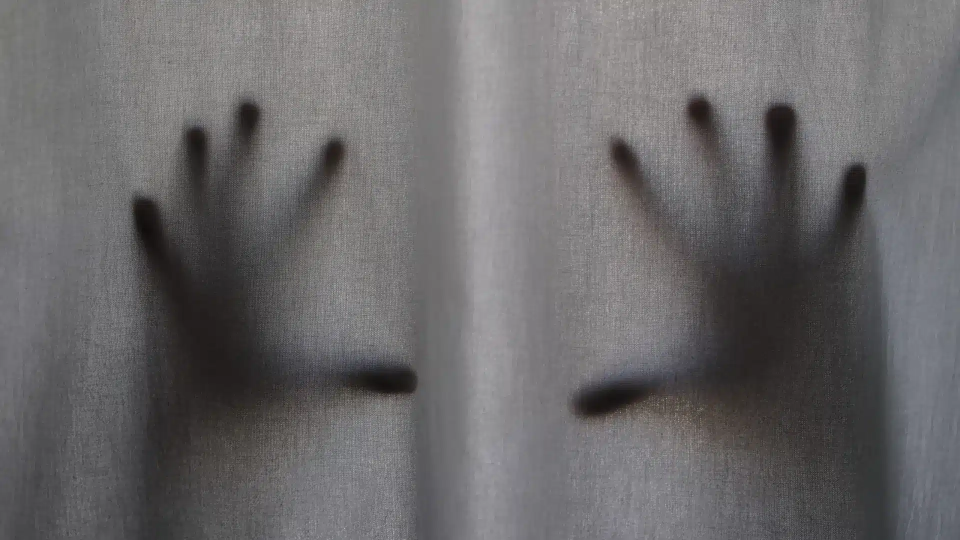 APAV a soutenu plus de 18 500 victimes en 2025, principalement pour violence domestique.