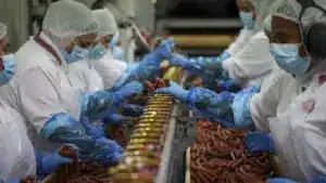 Après insolvabilité, Sicasal reprend la production avec une partie des travailleurs