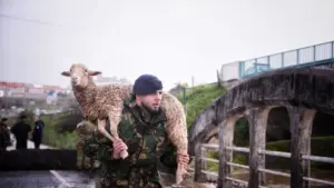 AU MINUTE : Le Douro a débordé pendant la nuit ; Inondations et sauvetages à Azambuja