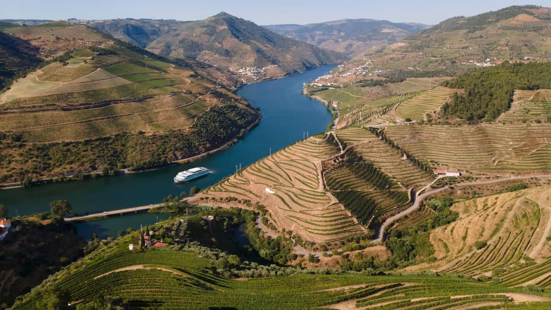 Casa do Douro demande des soutiens urgents pour tous les viticulteurs touchés.