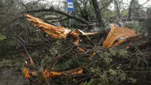 Castanheira de Pera estime des préjudices de cinq millions d'euros