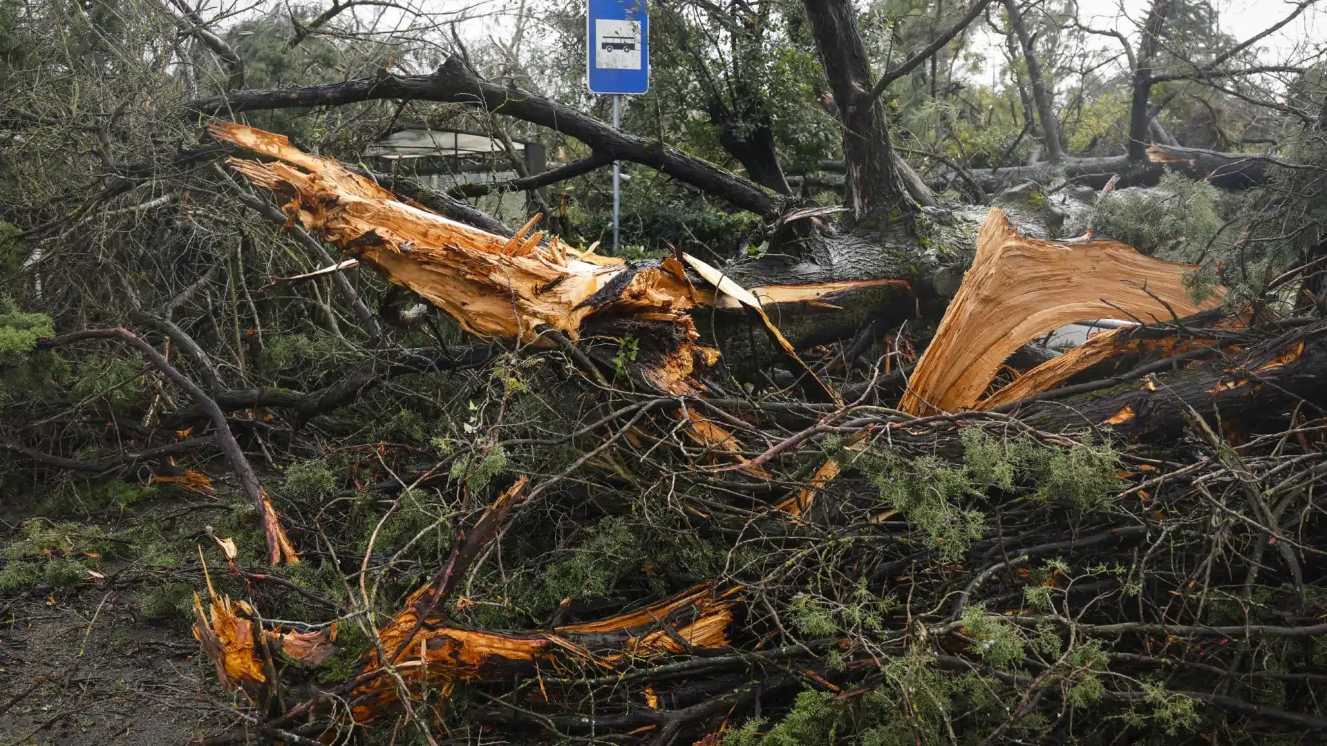 Castanheira de Pera estime des préjudices de cinq millions d'euros